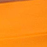  Swimsuits For All Women’s Plus Size High Leg Swim Brief