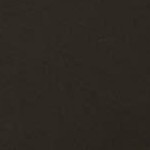  Swimsuits For All Women’s Plus Size Executive Bikini Bottom